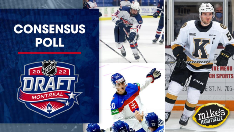Read more about the article 2022 NHL draft preview: The top 32 players on the board, per the experts