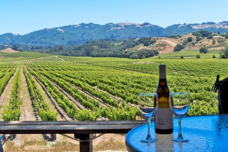 Read more about the article 26 Top Sonoma Wineries to Visit