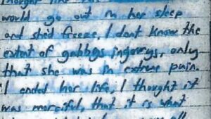 Read more about the article Brian Laundrie notebook: Lawyer released pages in which he admits to killing Gabby Petito