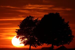 Read more about the article First day of summer: Longest day, shortest night on June 21 solstice