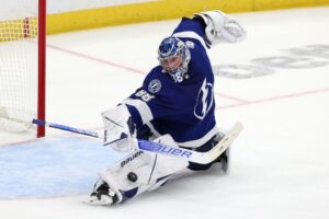Read more about the article Five things you need to know about the Tampa Bay Lightning