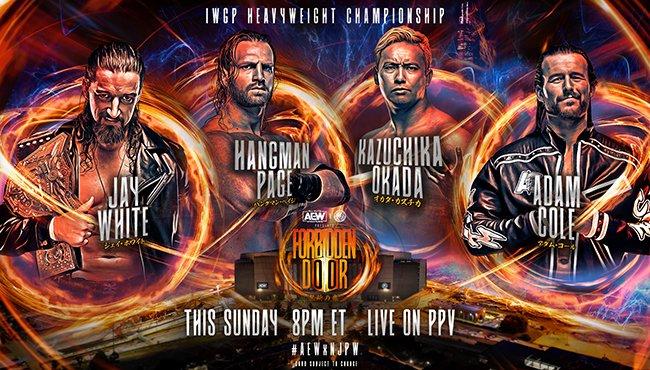 Read more about the article IWGP World Heavyweight Championship Match Ends in Bizarre Fashion