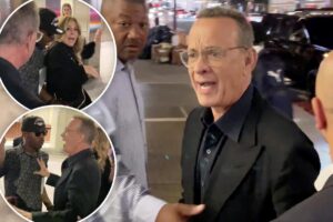 Read more about the article Tom Hanks yells at fans after they nearly knock over Rita Wilson