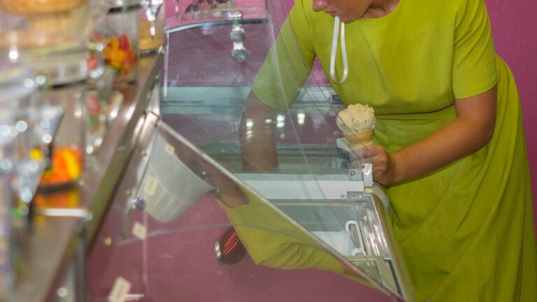Read more about the article CDC links Sarasota ice cream maker to deadly listeria outbreak