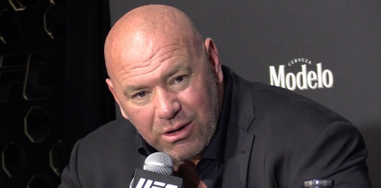 You are currently viewing Dana White weighs in on Jake Paul vs. Hasim Rahman Jr. cancellation, believes he knows the real reason why