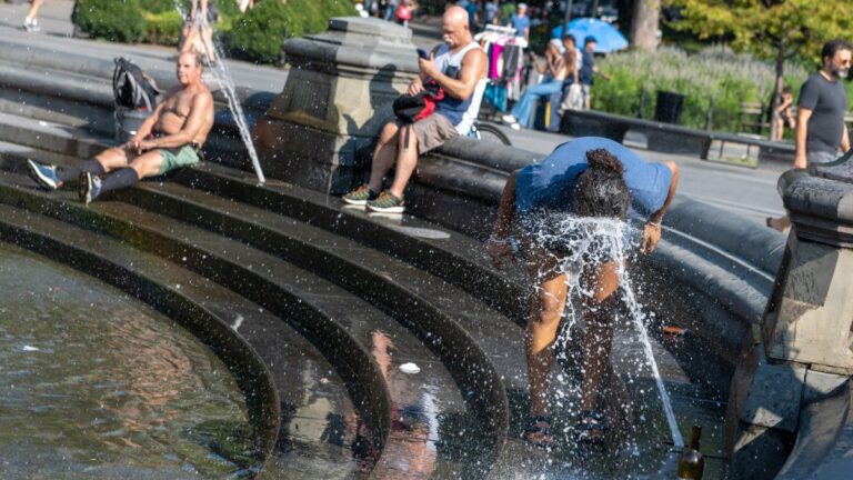 Read more about the article Heat Wave Hits NYC – NBC New York
