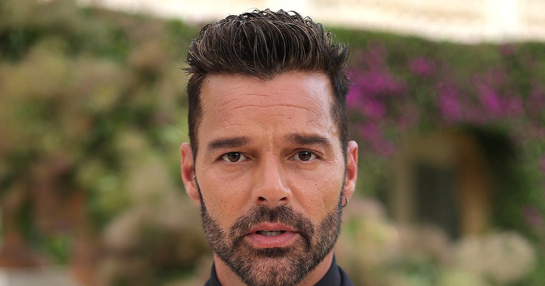 You are currently viewing Ricky Martin Denies “Sexual or Romantic Relationship” With Nephew