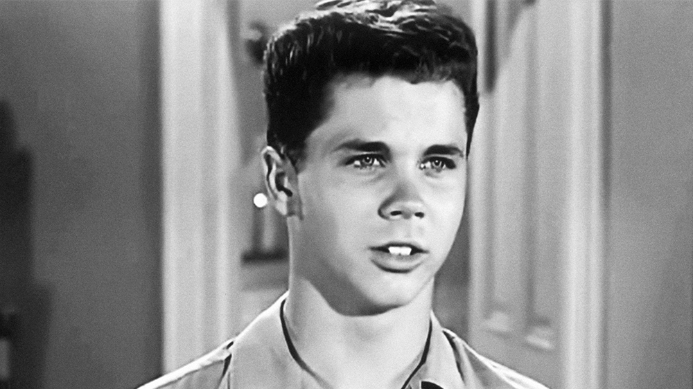 You are currently viewing Tony Dow Still Alive: Wally Cleaver on ‘Leave It to Beaver’ Not Dead