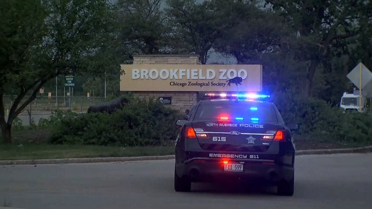 You are currently viewing Visitors at Brookfield Zoo Forced to Shelter-in-Place for Hours After Threat, Officials Say – NBC Chicago