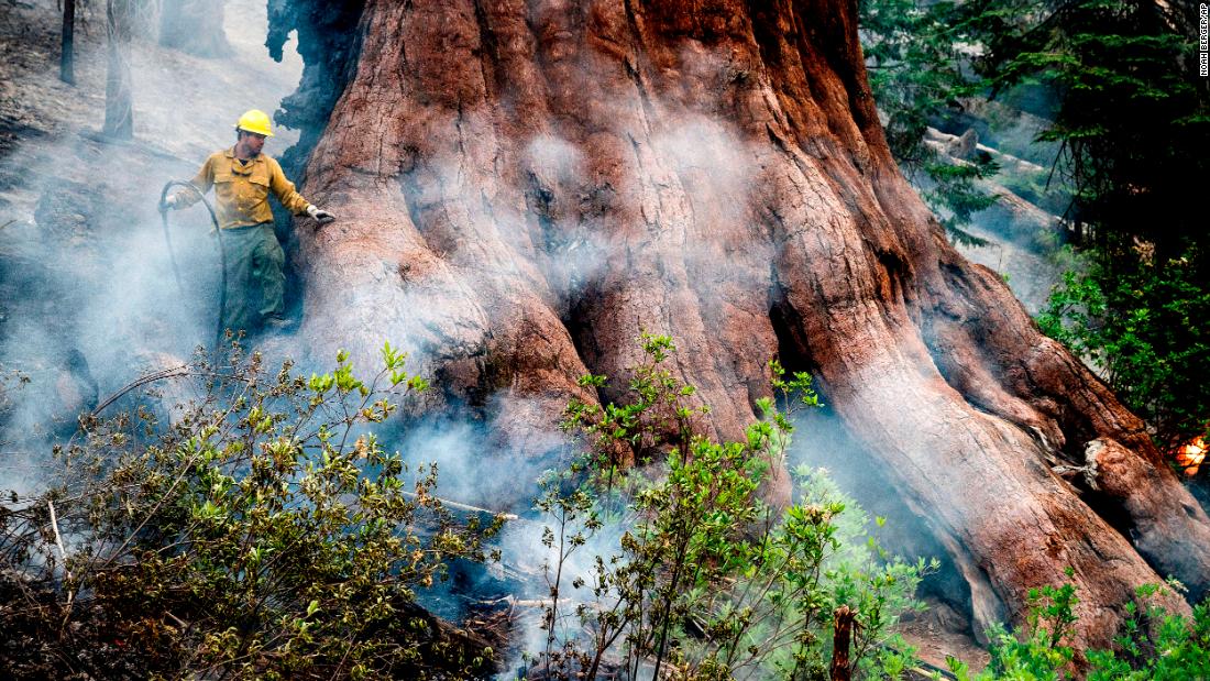 You are currently viewing Yosemite Park fire: Blaze threatening Yosemite’s famed grove of giant sequoia trees is still growing