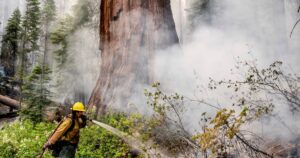 Read more about the article Yosemite fire uncontained as sprinklers protect historic sequoias