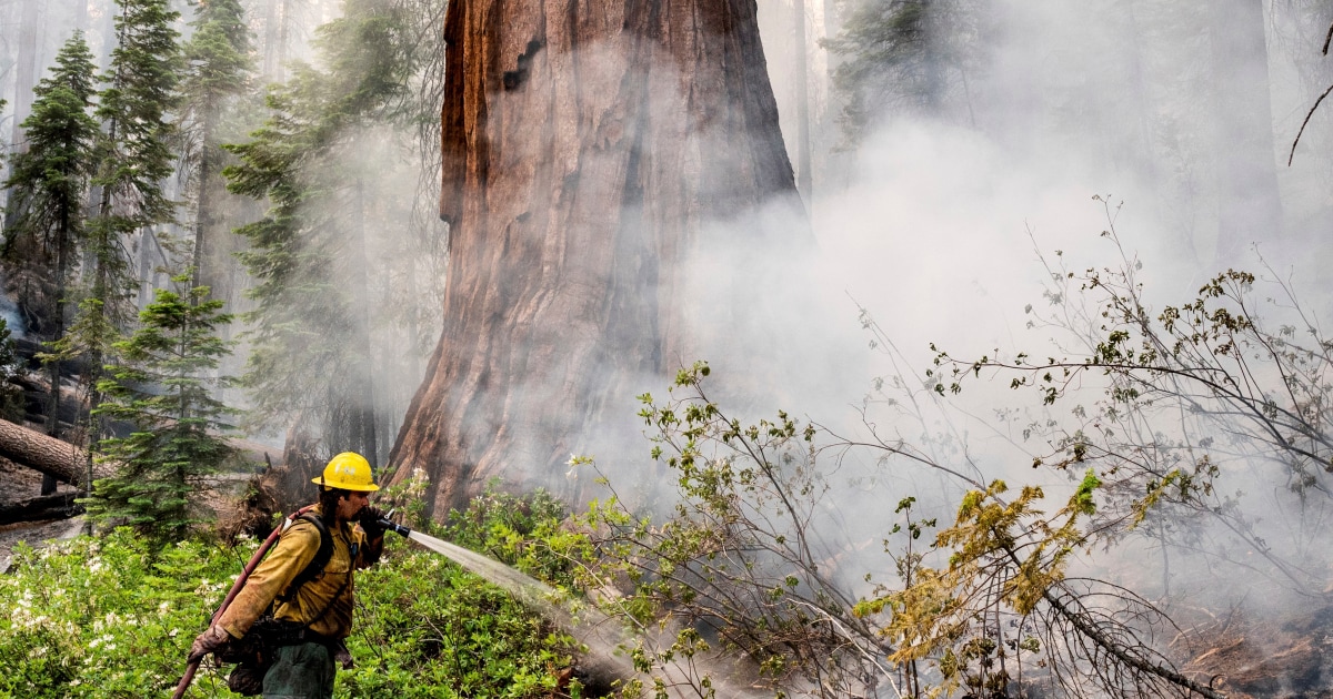 You are currently viewing Yosemite fire uncontained as sprinklers protect historic sequoias